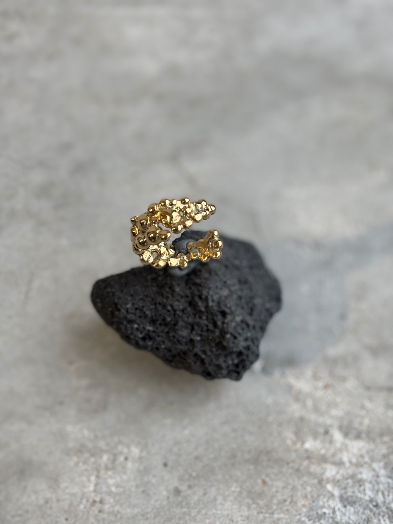 Gold Vulcain