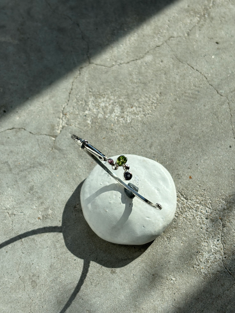 Titanoboa